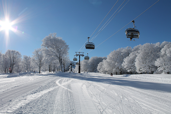 Nozawa Onsen Ski ResortImage