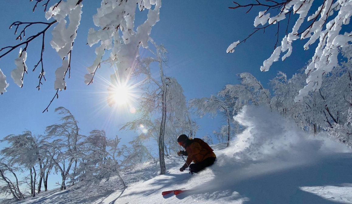 Arai Snow ResortImage