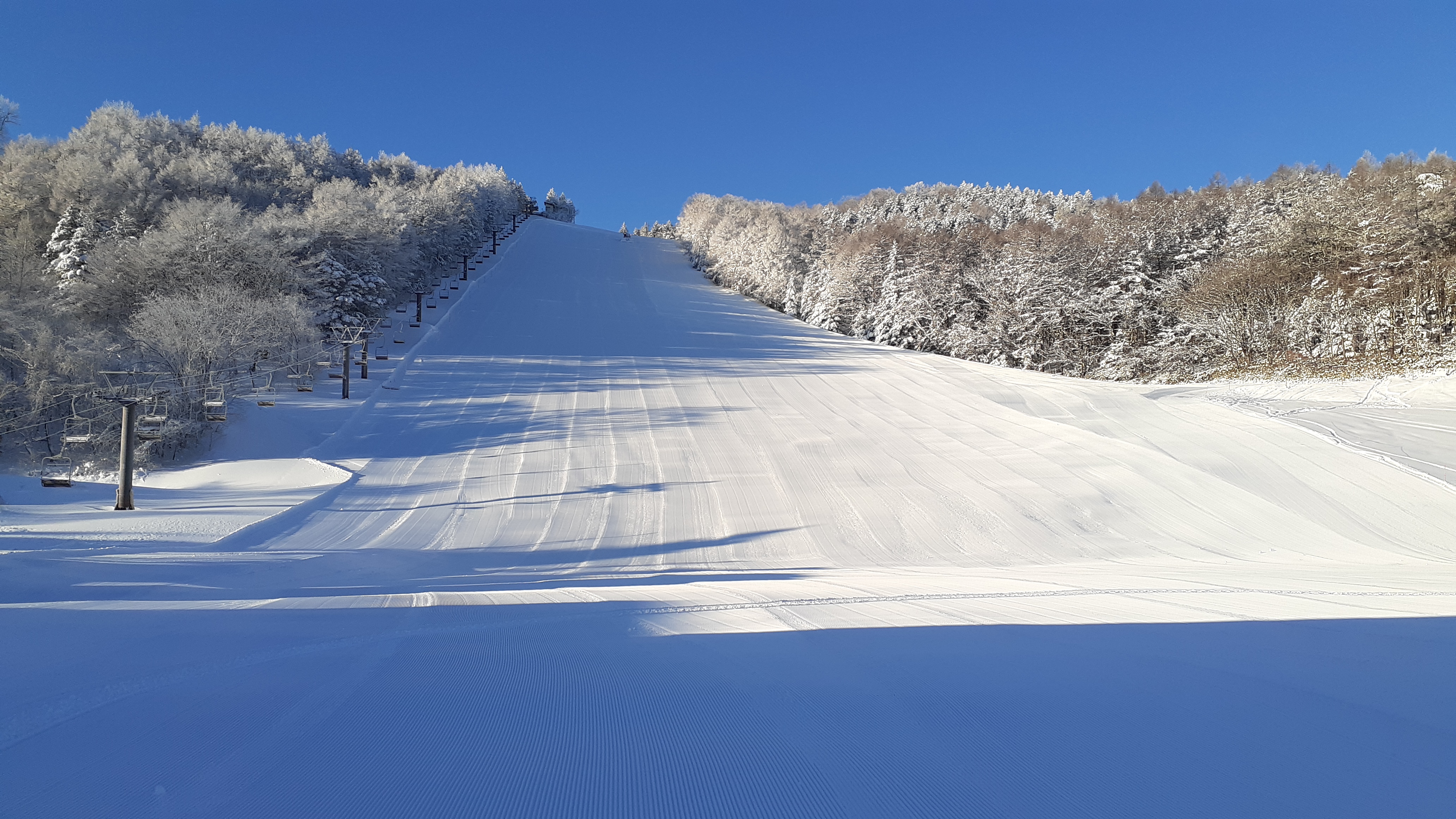 Sugadaira Kogen Snow ResortImage