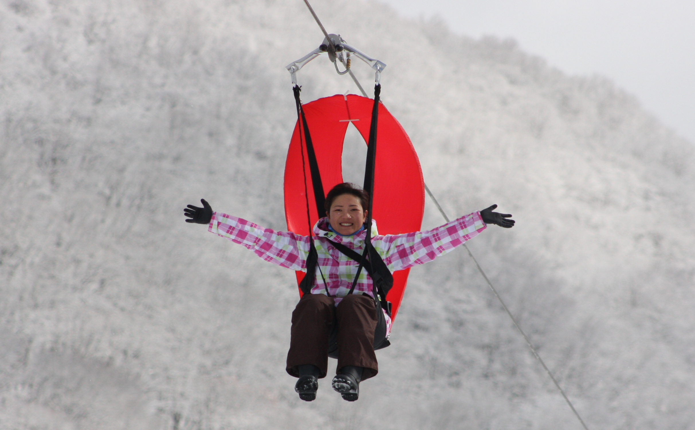 Zip Sky Ride (B line)Image