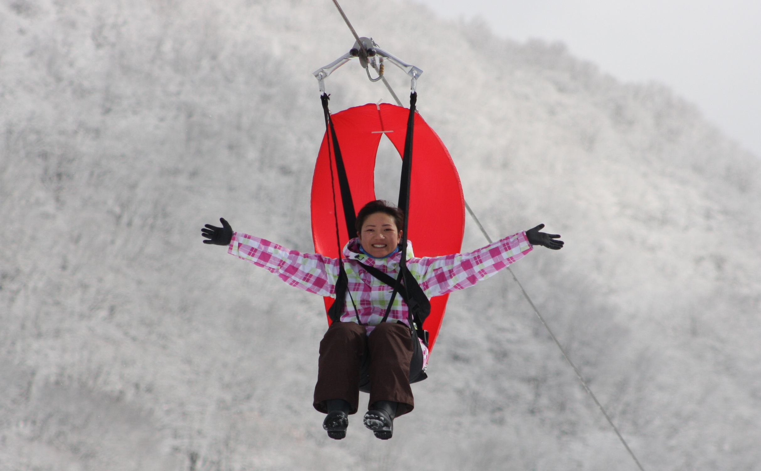 Zip Skyride (A-line)Image