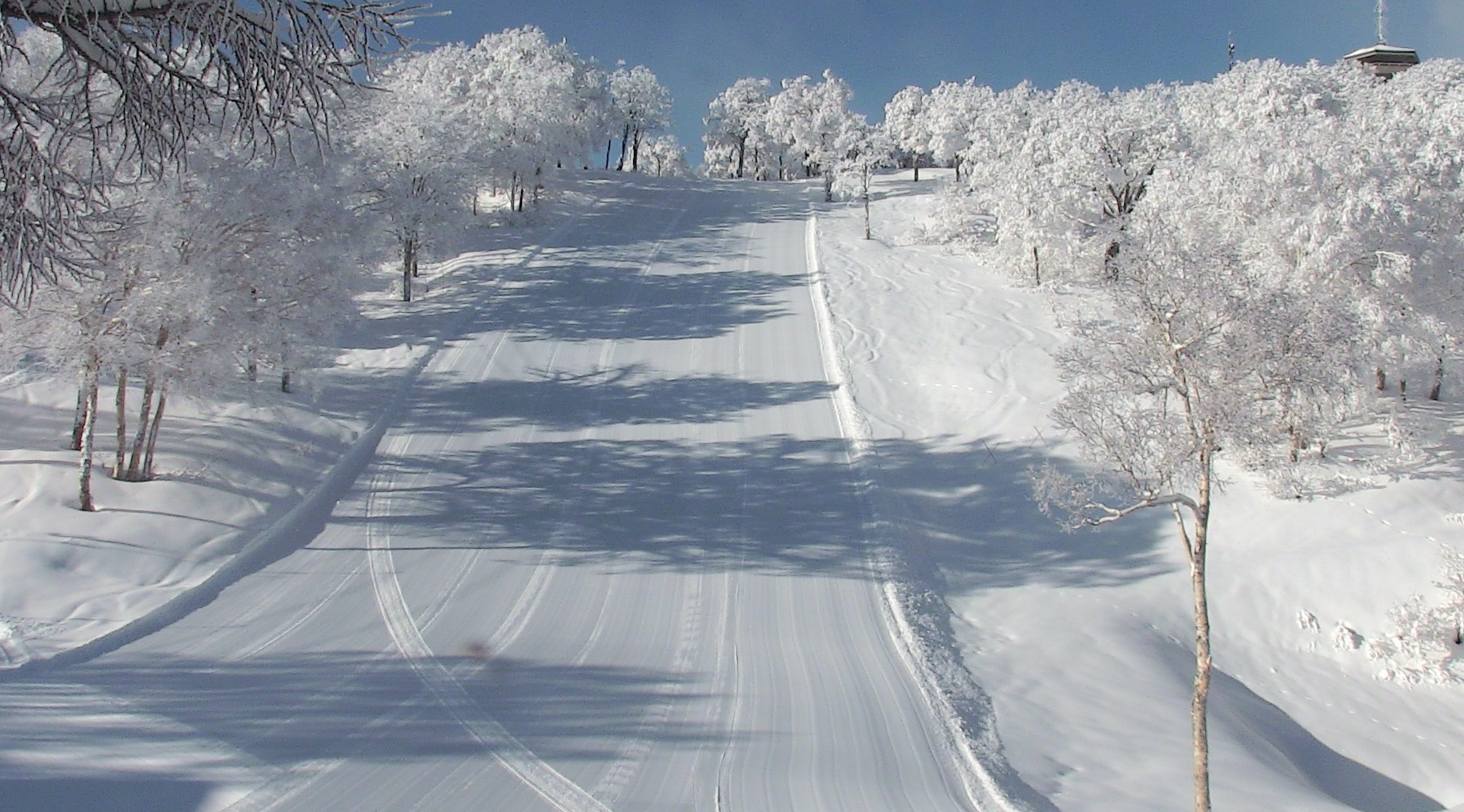 Kokenashi SlopeImage